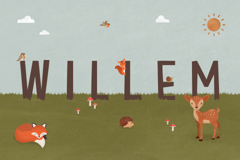 geboortekaartje Willem met bosdieren in het gras